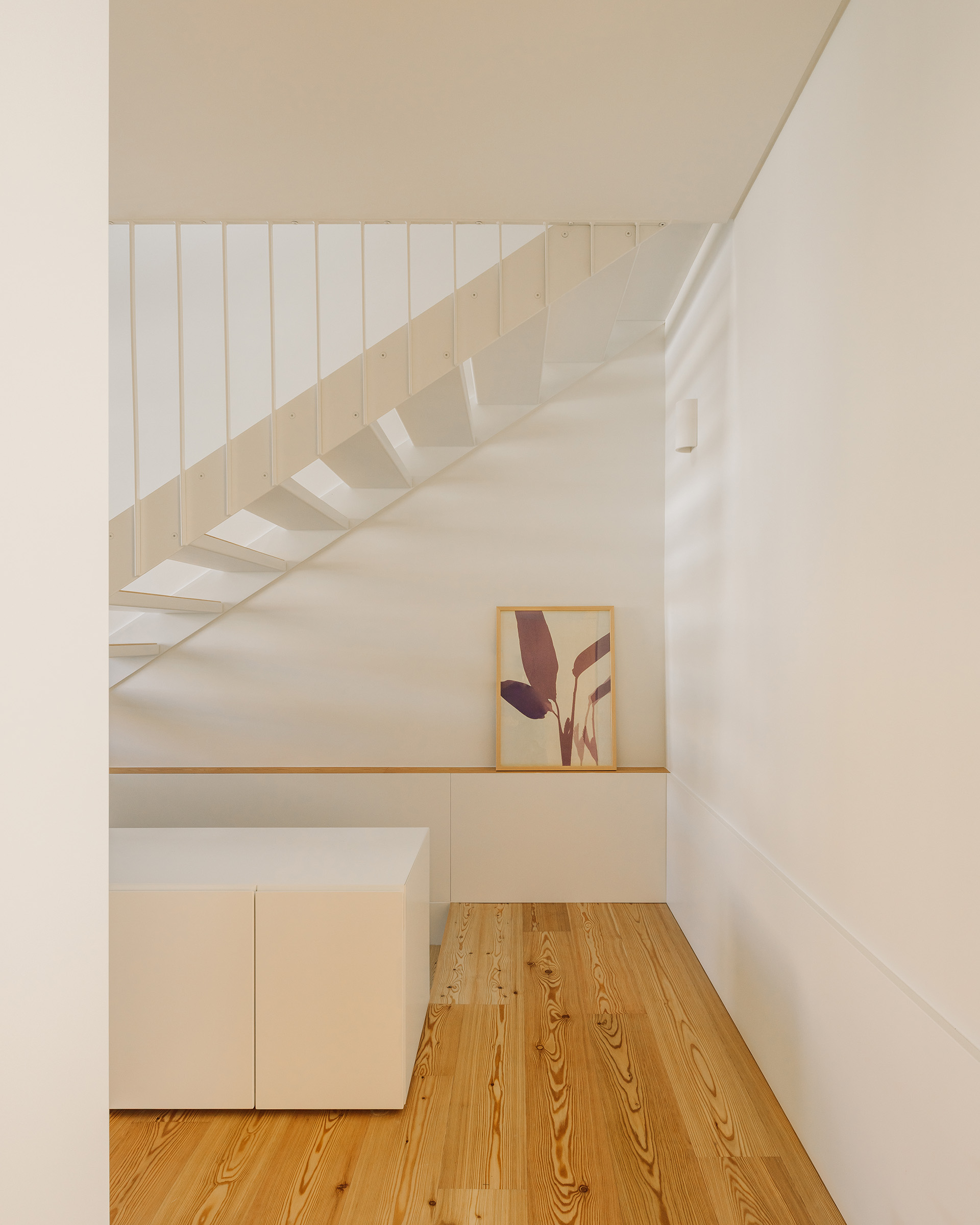 House in David Melgueiro
