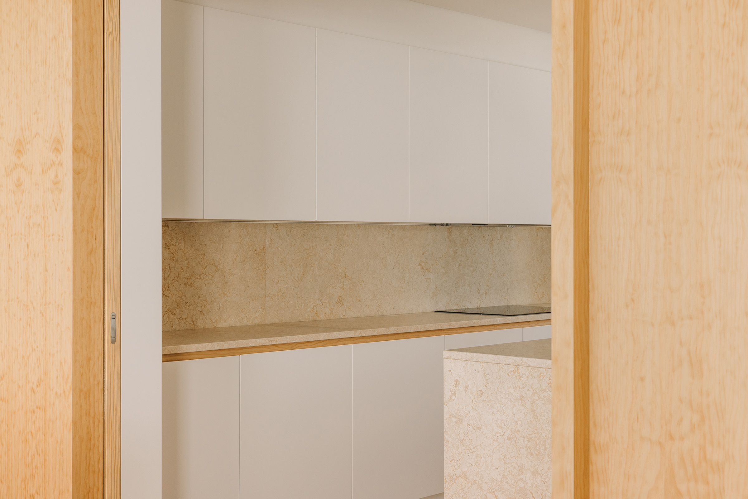 House in David Melgueiro