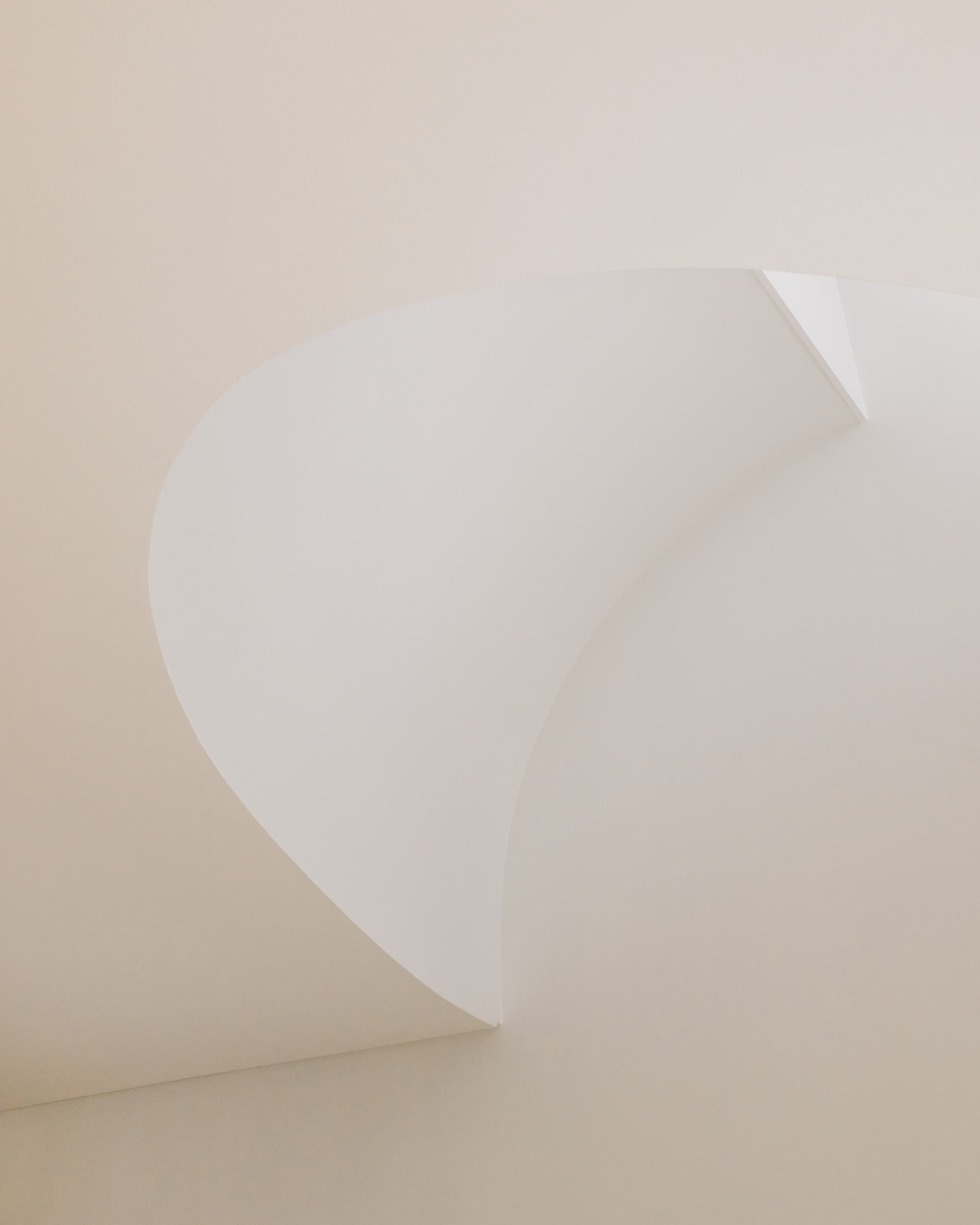 House in David Melgueiro