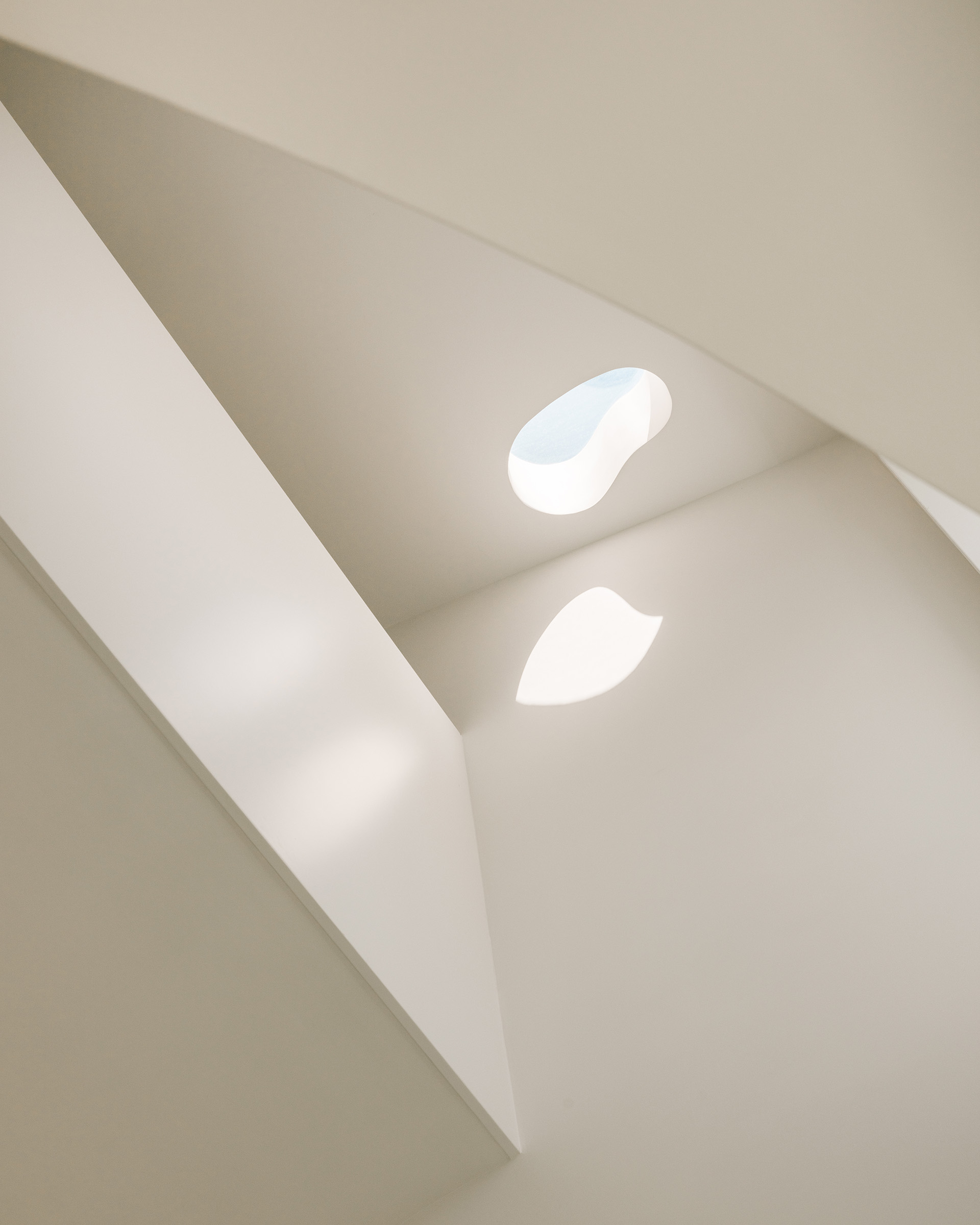 House in David Melgueiro