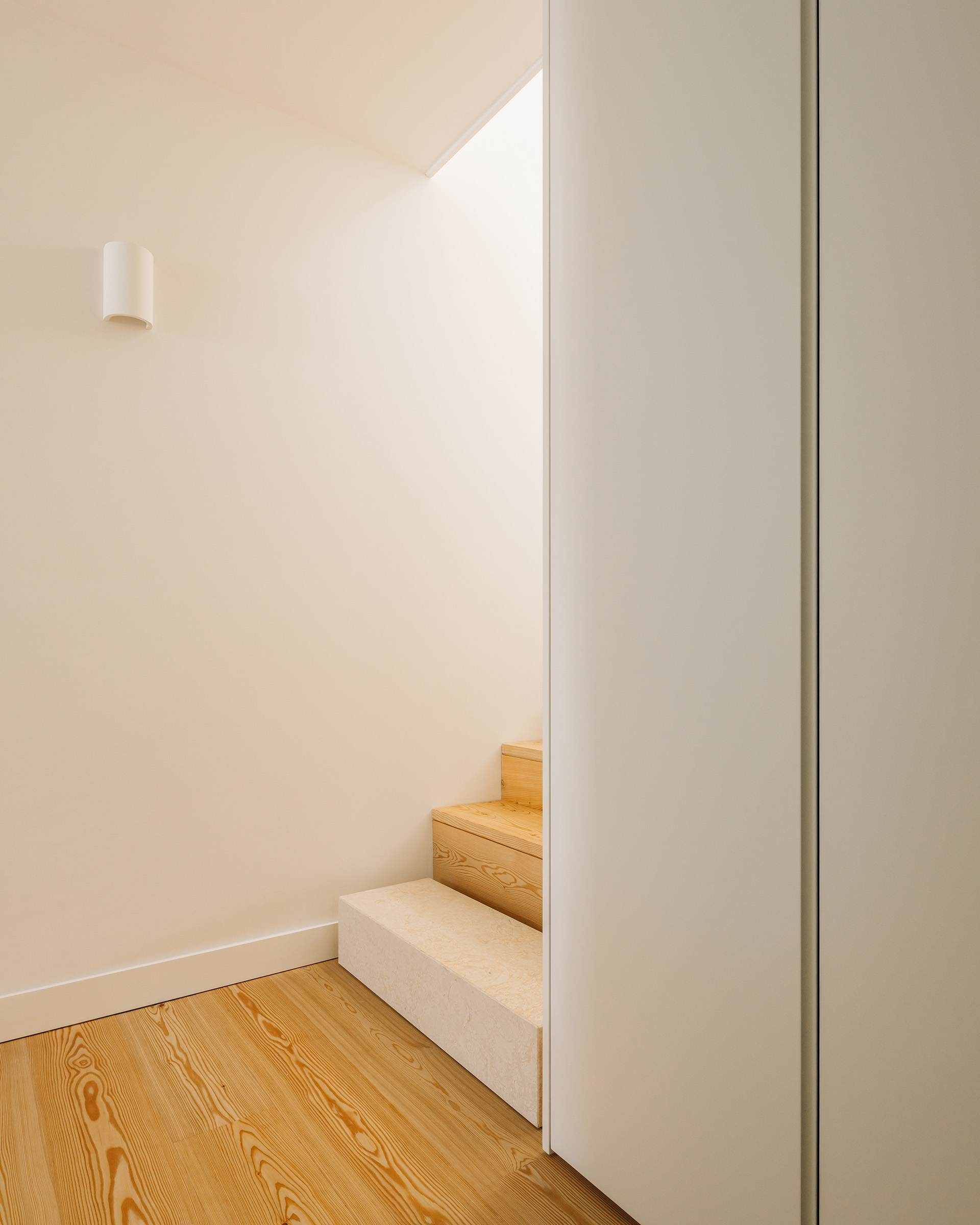 House in David Melgueiro