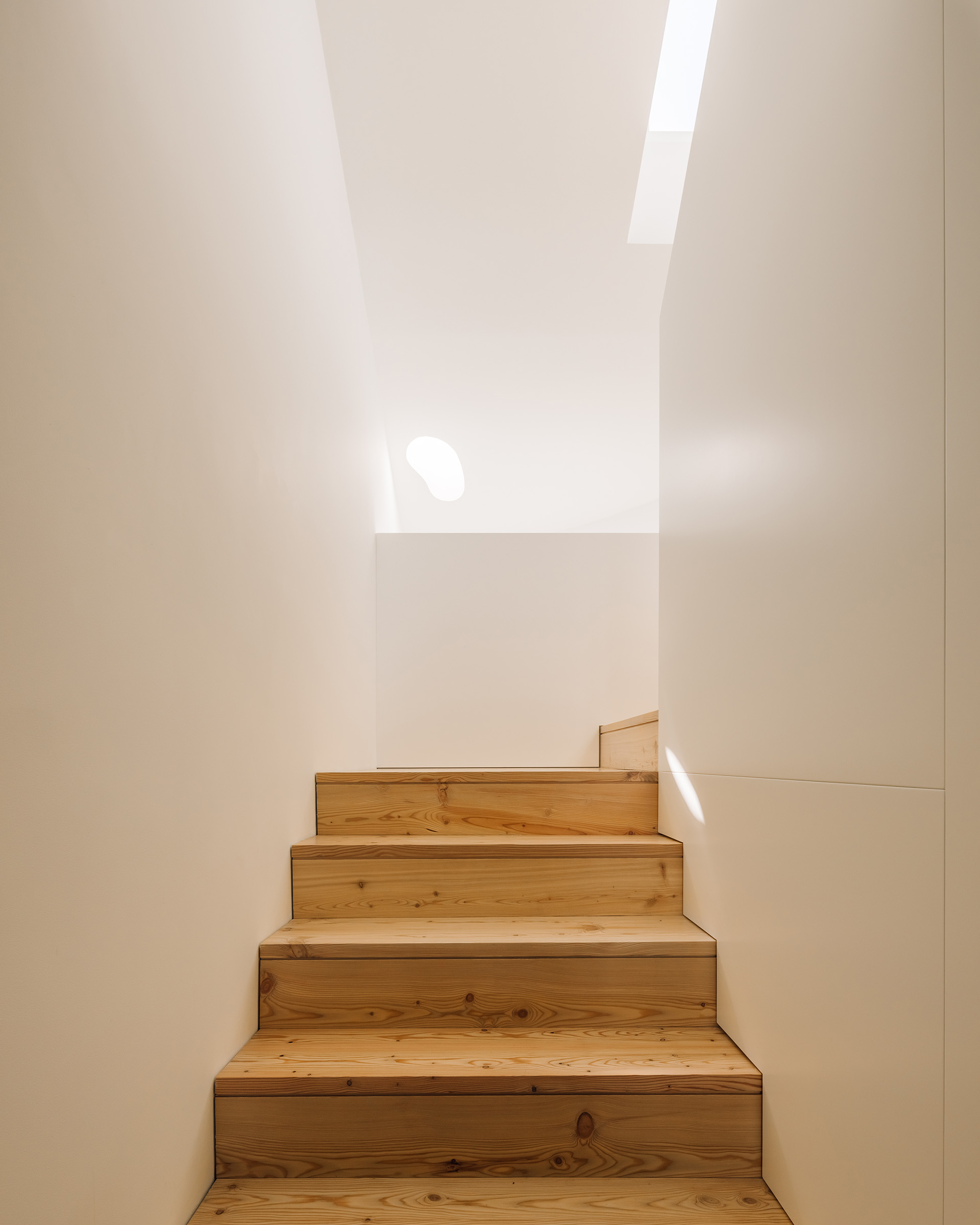 House in David Melgueiro